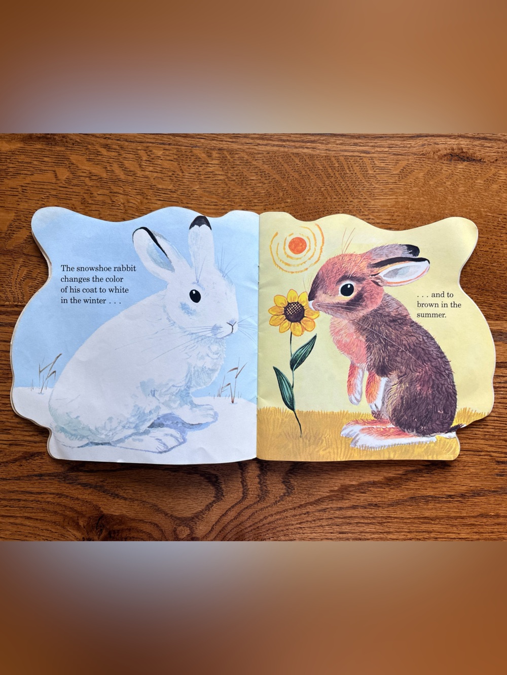 VTG 1987 The Bunny Book - by Richard Scarry- Golden Super Shape Book - Picture 7 of 7